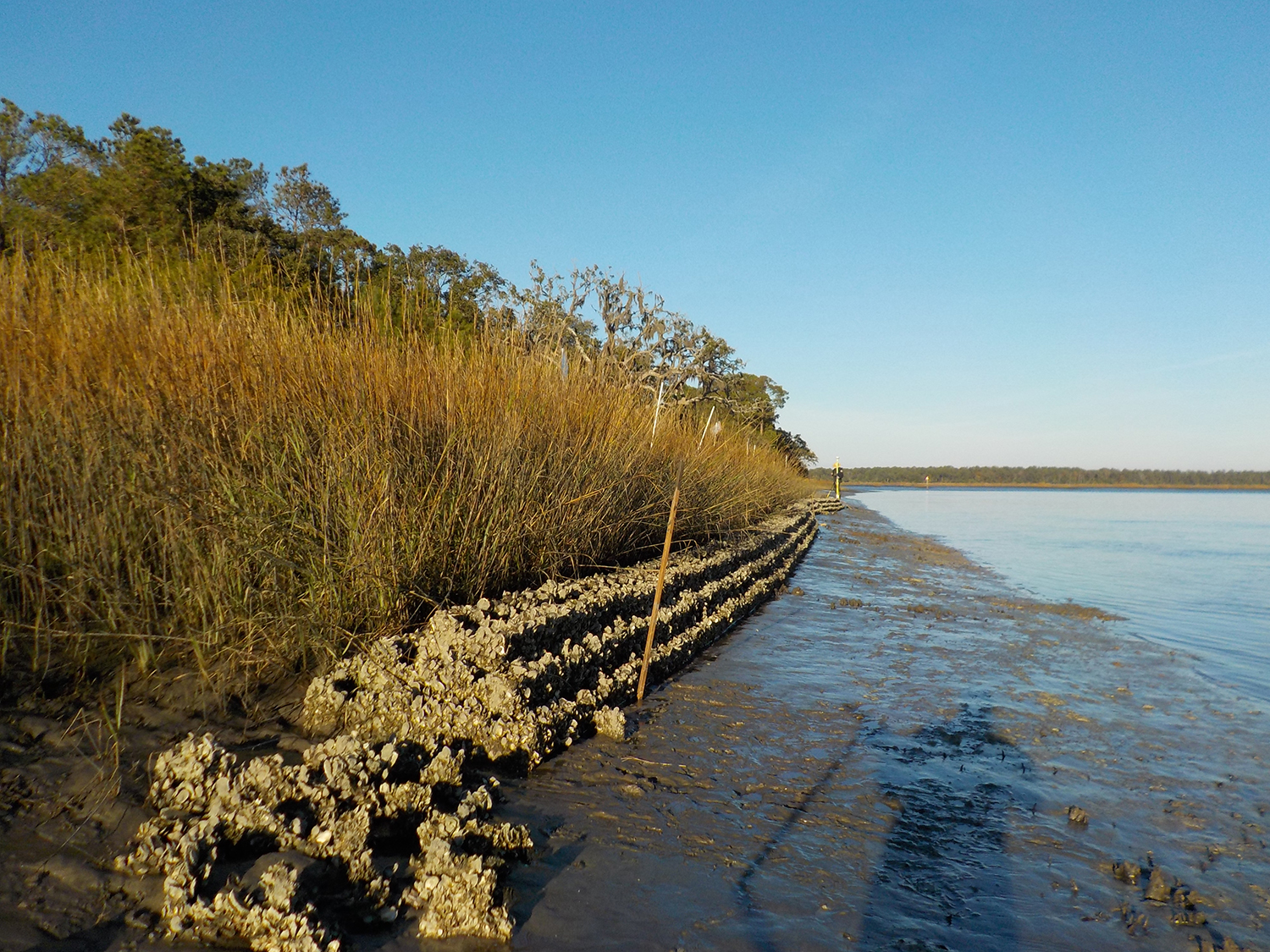 oyster castles