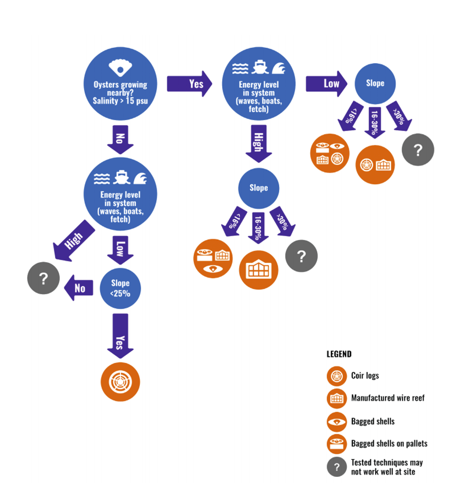 site conditions flow chart for living shorelines