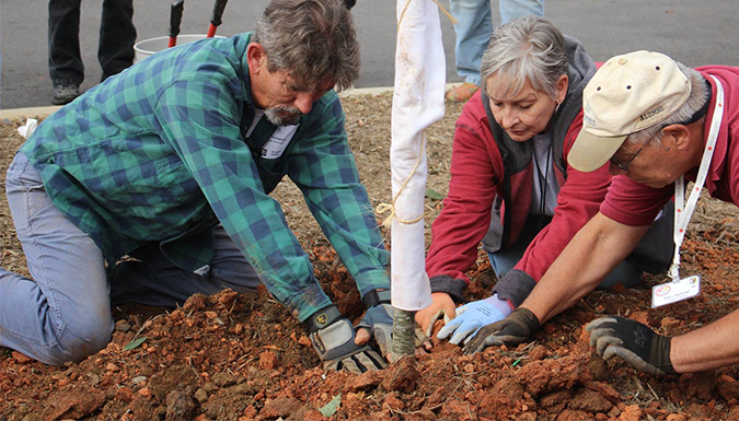 Three Master Gardener volunteers planting a tree