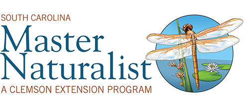 SC Master Naturalist Logo