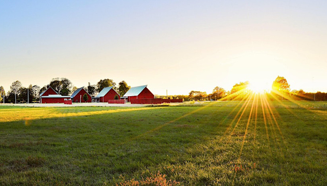 farm landscape at sunrise