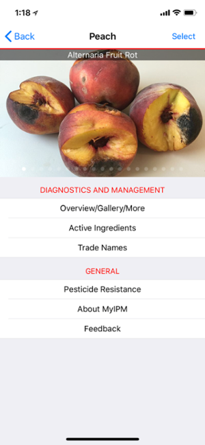 screenshot of myipm app Alternaria Fruit Rot page 