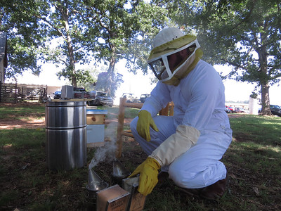 Beekeeper in suit working a hive