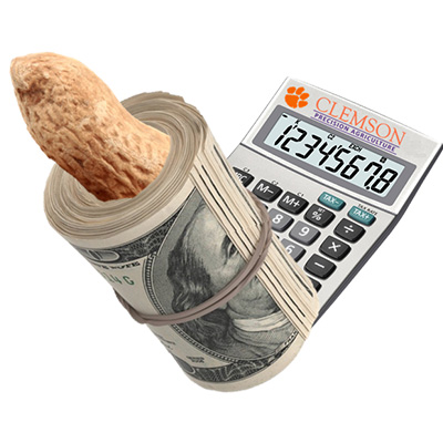 Peanut Loan Rate Calculator