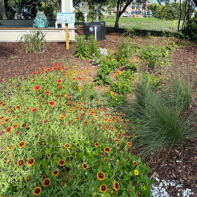 Rain garden demonstration site at Folly River Park