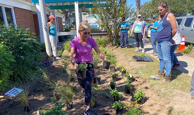 designing a rain garden