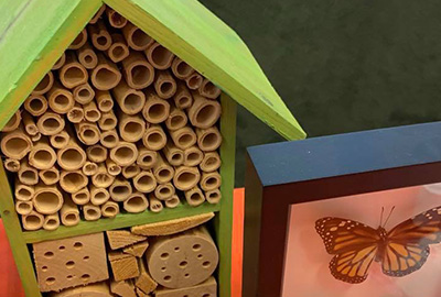 bee house and butterfly