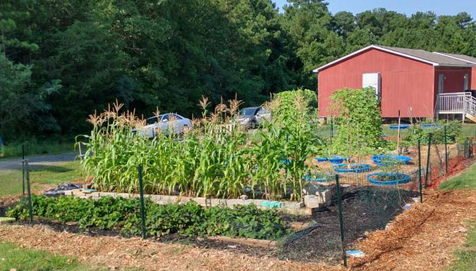 Community garden