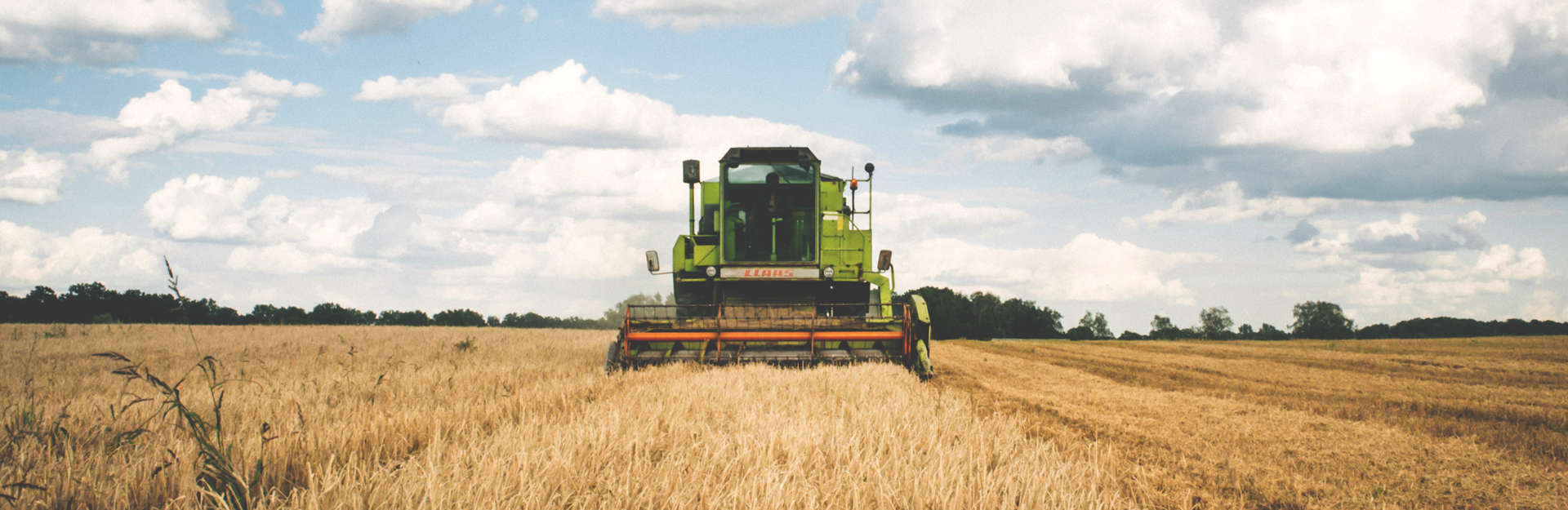 tractor cutting a crop of dried grain