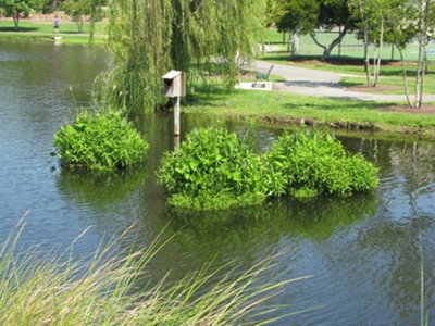 mclean floating wetlands