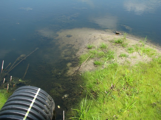 forebay filled with sediment