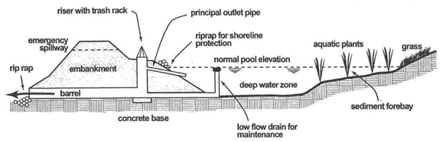 Cross-section of a typical stormwater pond