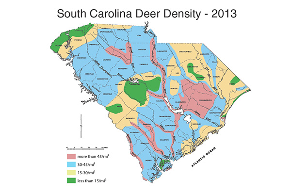 SC Deer Desnity - 2013