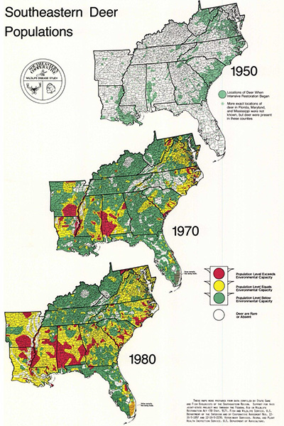 Southeastern Deer Populations 1950-1980