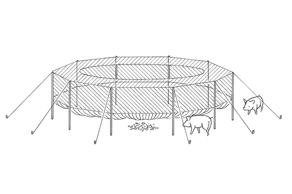 Diagram of pig brig system being pre-baited. (Photo provided by Pig Brig)