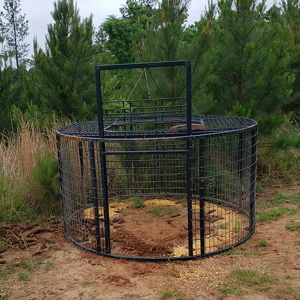 Example of a round cage trap. (Photo by Bo Martin)