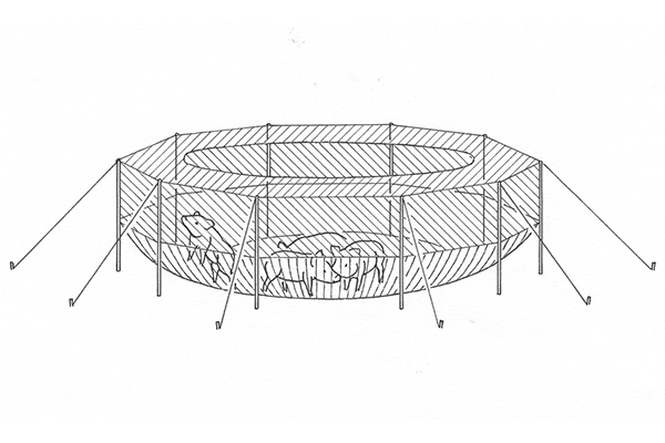 Diagram of Pigs being trapped in pig brig system. (Photo provided by Pig Brig)