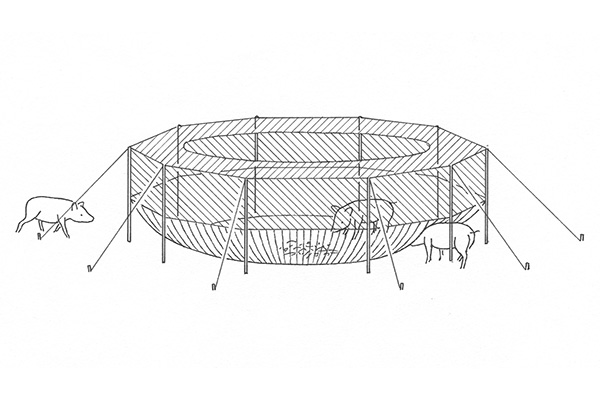 Diagram of pigs being attracted to bait in pig brig system. (Photo provided by Pig Brig)