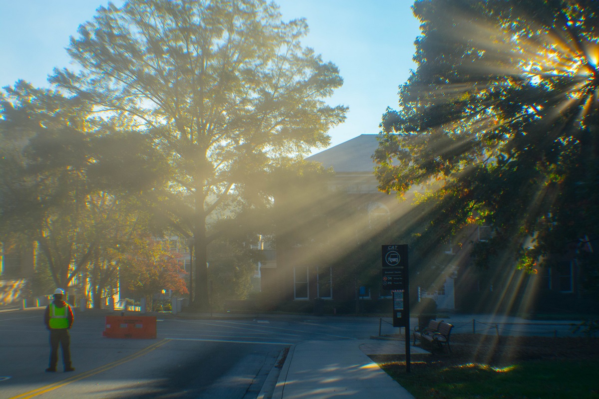 A picture of a sunlight through trees.