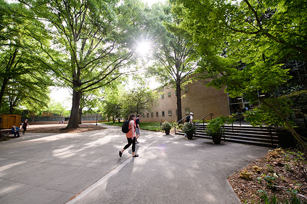 students walk along campus academic buildings as light shines through trees