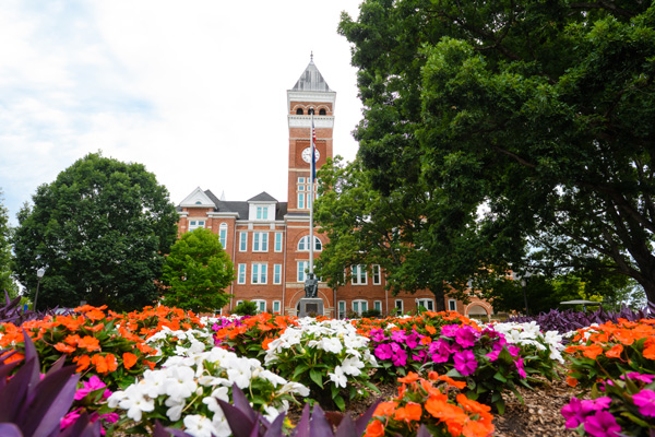 Orange and purple flowers with Tillman hall