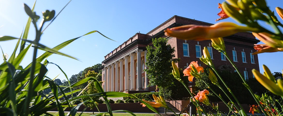 Orange lillies bloom in a flower bed beside Sikes Hall. 