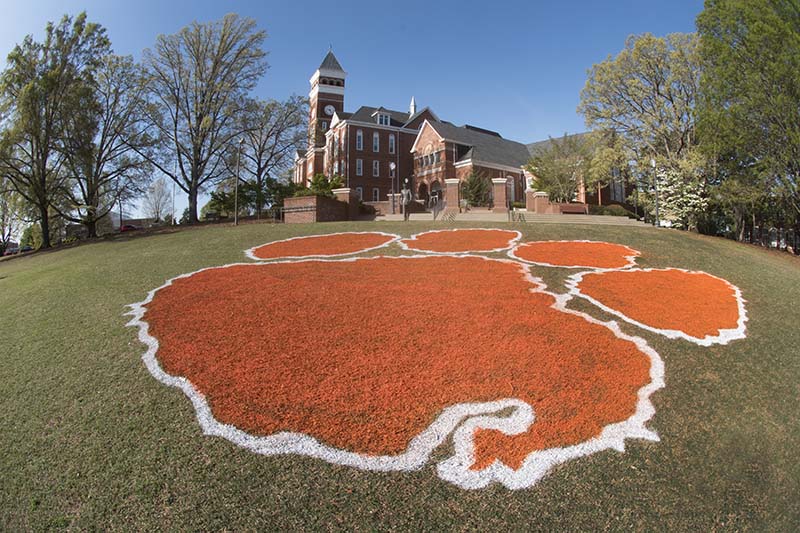 Large orange tiger paw painted on the green grass of bowman field