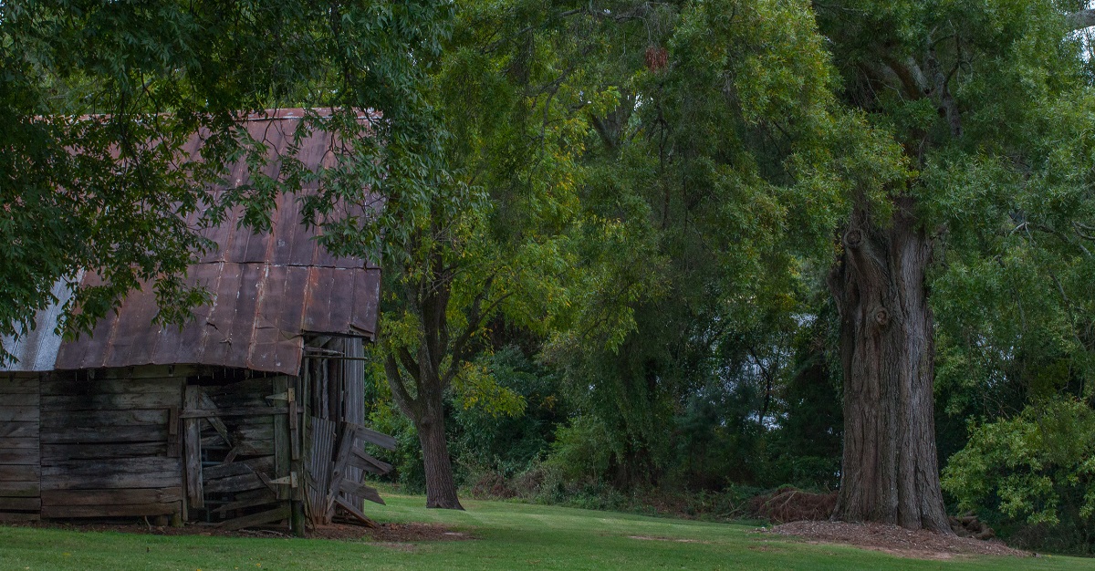 Image of an old barn possibly with asbestos