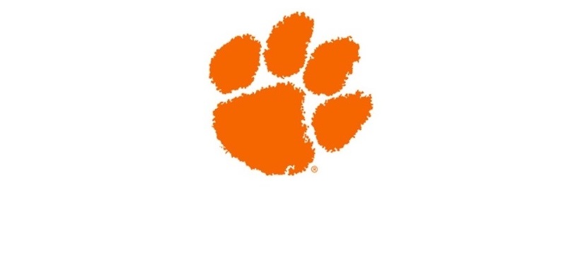 An Orange Tiger Paw