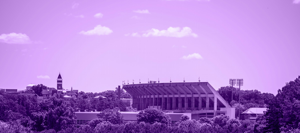Photo of Clemson campus from a distance