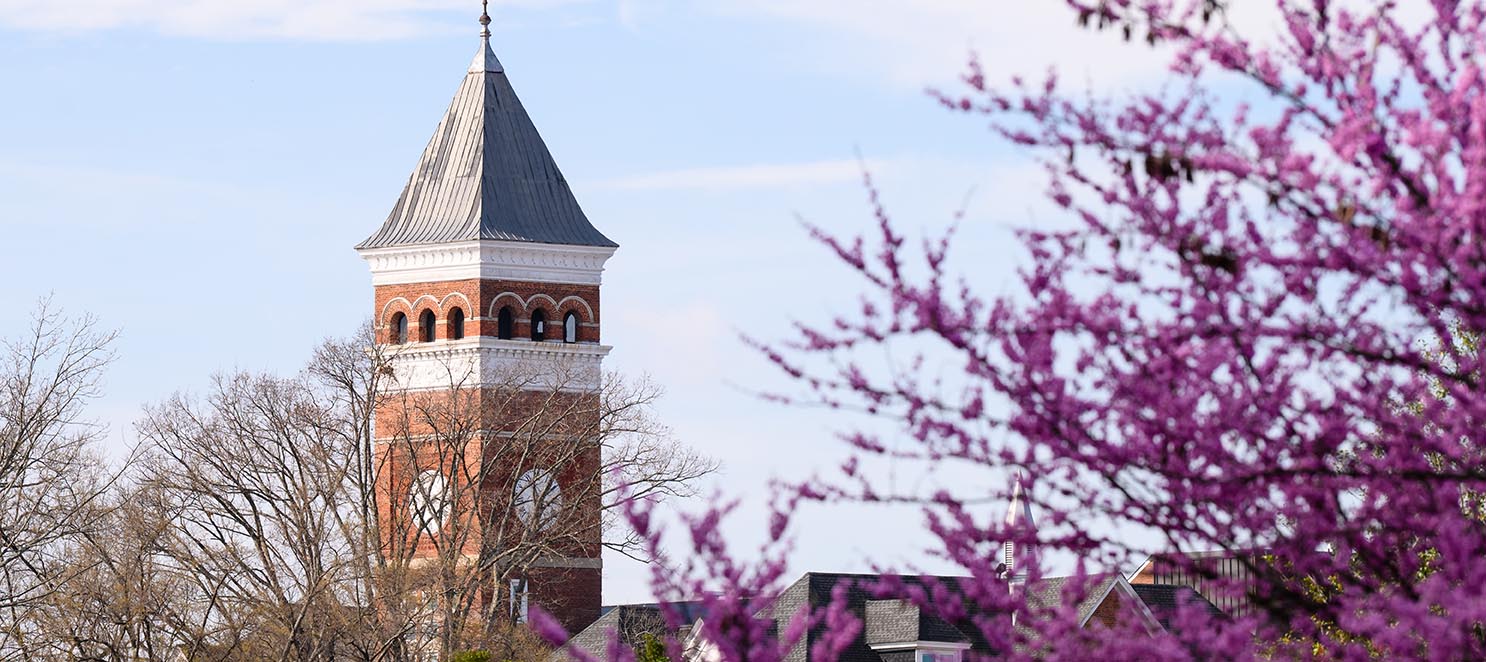 Photo of Clemson campus from a distance