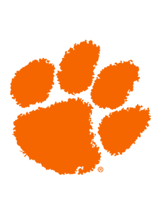 Tiger Paw