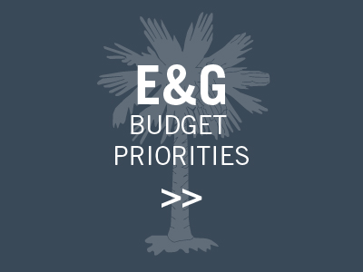 2020-2020 EG Budget Priorities