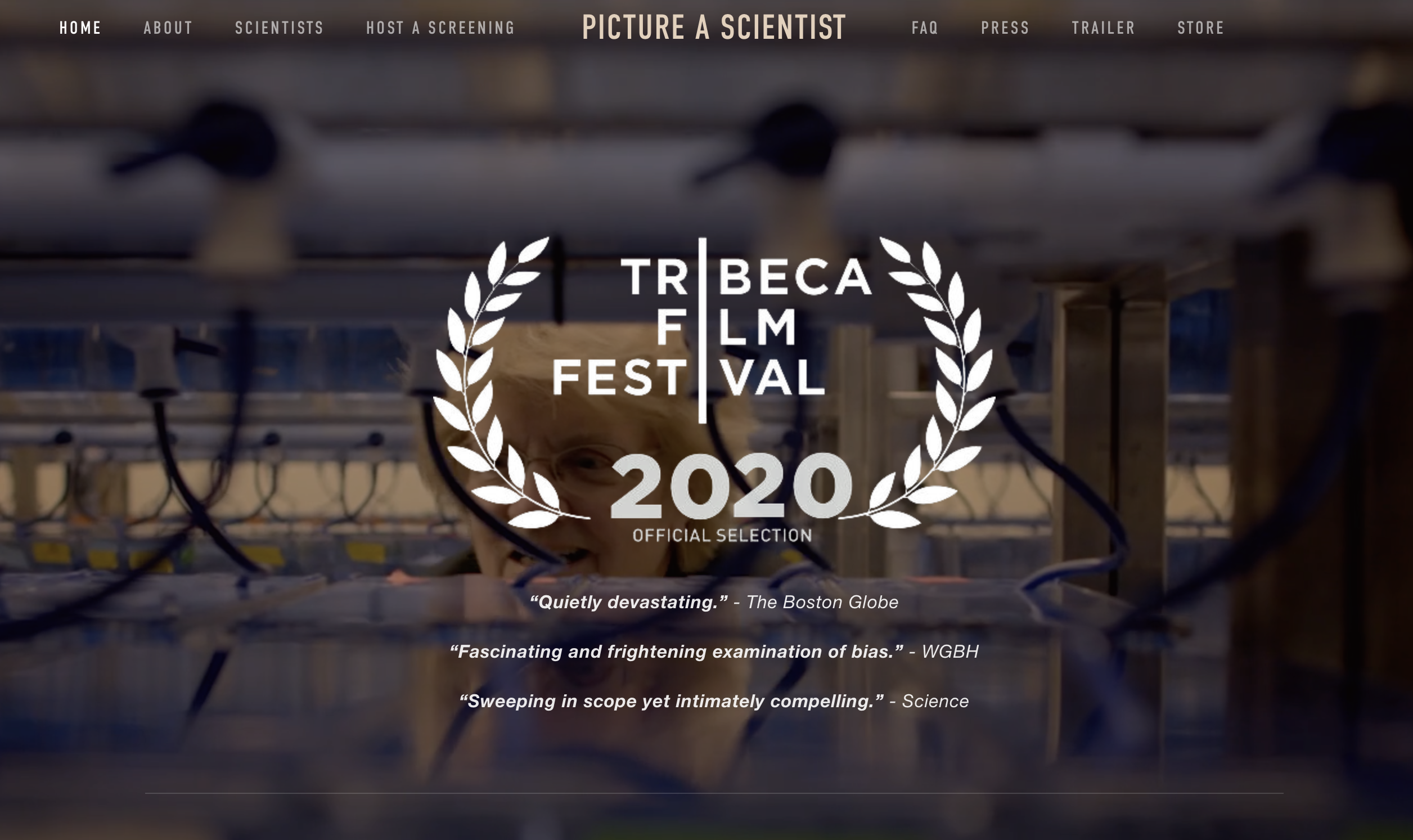 screenshot of the film's homepage