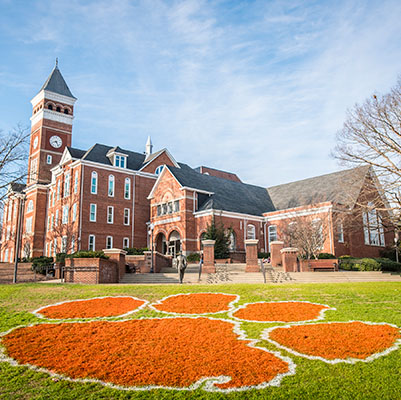 Tiger paw on Bowman field and Tillman in the background.