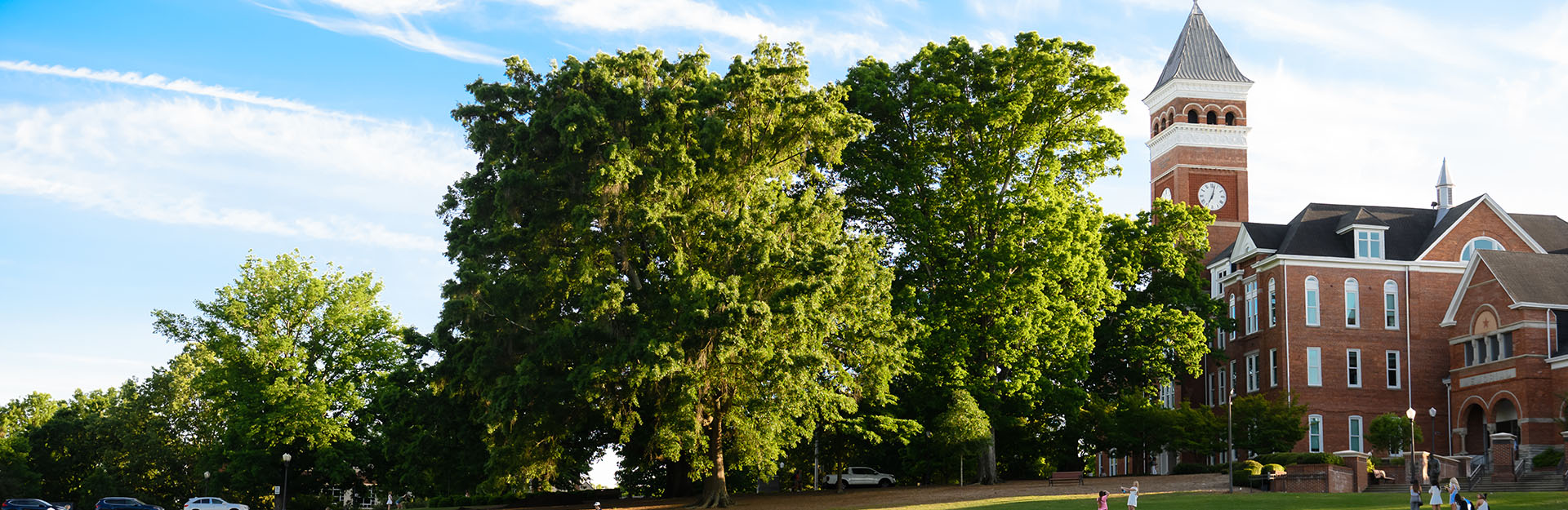 Trees in front of Tillman hall in the spring