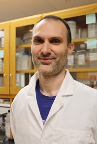 Alexis Stamatikos