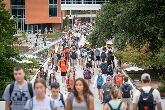 Students walking across a birdge to campus in the Spring.