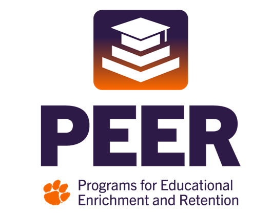 PEER Programs for Educational Enrichment and Retention