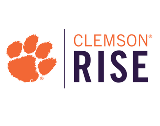 RISE