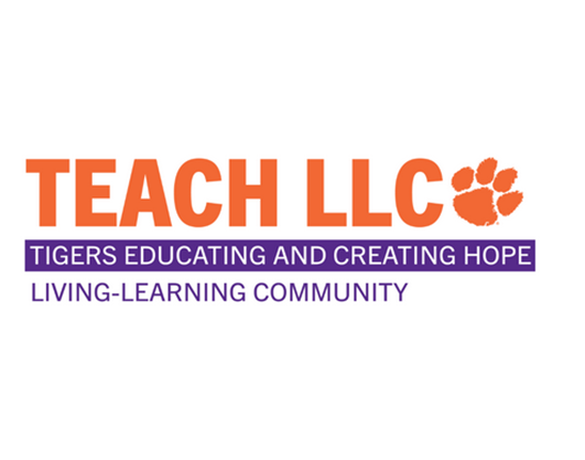 Teaching Fellows