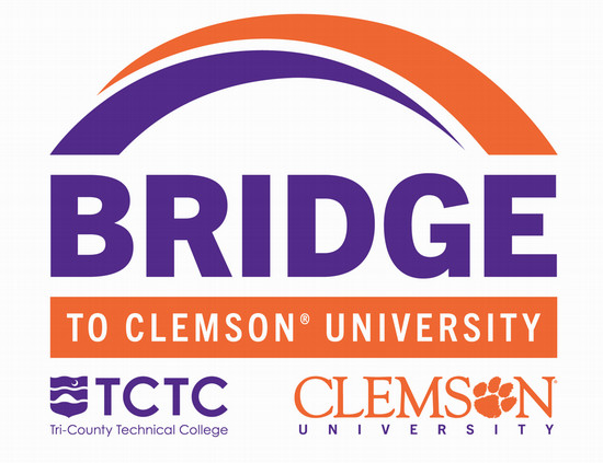 Bridge to Clemson Experience