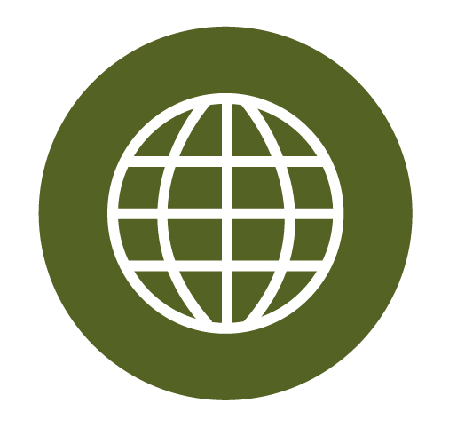 Dark green circular icon with a white globe symbol.