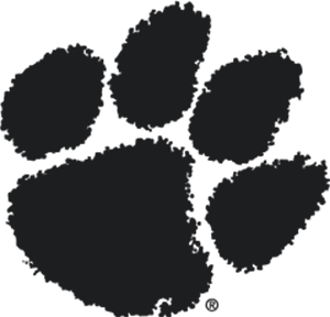 Tiger Paw Dark Gray