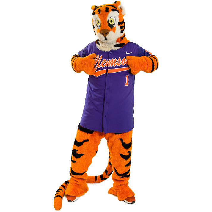 Clemson University mascot, The Tiger, pretending to rip open a purple Clemson jersey.
