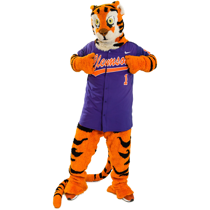 Clemson Tigers, Clemson University Athletics