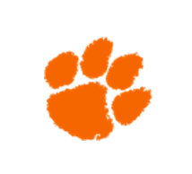 Tigers Paw