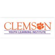 YLI icon