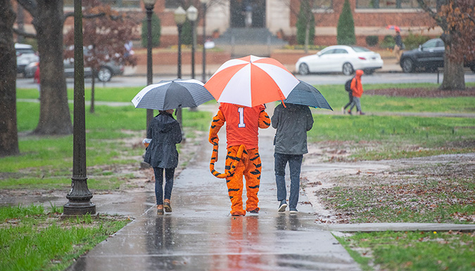 Two people in dark rain jackets walk down a sidewalk with the Tiger mascot. All are holding umbrellas in the rain.