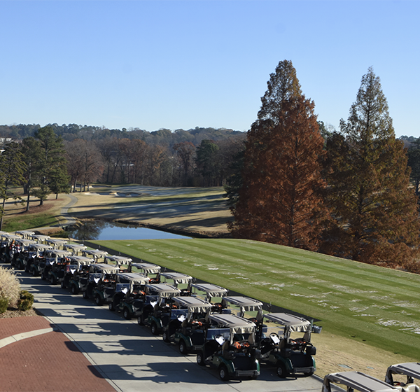 A row of golf carts lined up on a sunny day at a golf course, with a scenic view of trees and a pond in the background.